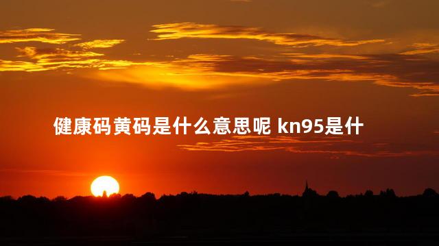 健康码黄码是什么意思呢 kn95是什么口罩